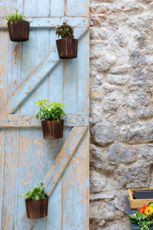 Jardin Secret Studio Terrasse Panier Vieux-Port Марсель Екстер'єр фото